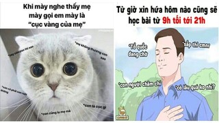 những meme ảnh chế hài hước mang tính giải trí cao #39