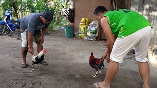 spar lang mona