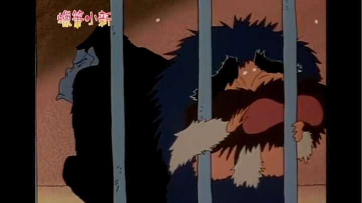 Shin-chan used too much hair growth agent and was sent to the zoo!