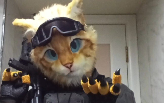Tôi nghe nói bạn muốn con mèo này cởi mũ bảo hiểm?