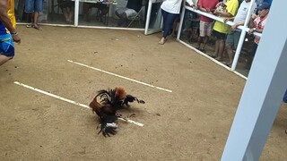 buang of Saipan
