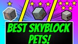 Hypixel Skyblock Guide: What pet should you craft? (v2 Pets tier list!)