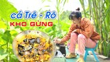 Món ngon mỗi ngày Cá Trê, Cá Rô kho gừng thơm ngon đơn giản | Vuivlogs #60