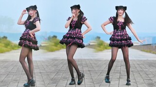 [Fanfan] อาคริดีนแมวไหมดำน้อยขี้อายและน่ารัก~การเต้นรำของสาวๆ