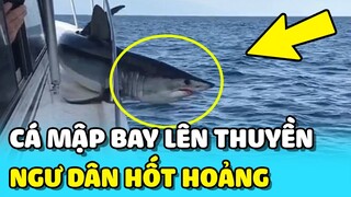 💥Cá mập MAKO dài 2 mét PHI THÂN LÊN THUYỀN khiến ngư dân hoang mang | TIN GIẢI TRÍ