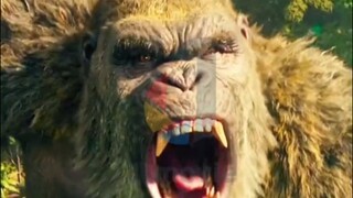 kinkong #film #fyp #tranding
