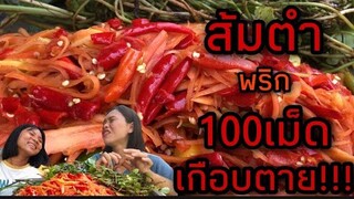 ส้มตำพริก 100เม็ด เกือบตาย!!! | แม่ชบาพาแซ่บบ