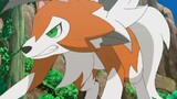 [Spirit Pokémon] Berevolusi manusia serigala batu surai antara terang dan gelap dalam bentuk senja