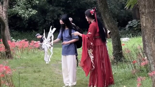 When the little sister tore my umbrella, she gave me a set of big pictures of the red spider lily