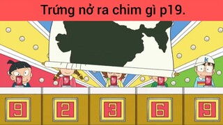 Trứng nở ra chim gì p19
