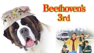 Beethoven's 3rd (2000)