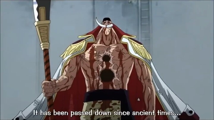 Whitebeard last words!