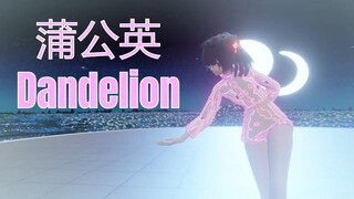 蒲公英Dandelion