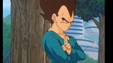 There is a kind of fatherly love called Vegeta