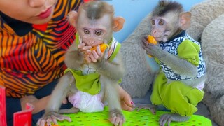 Wow So Yummy!! Little adorable Toto & Yaya really love eating Orange so much