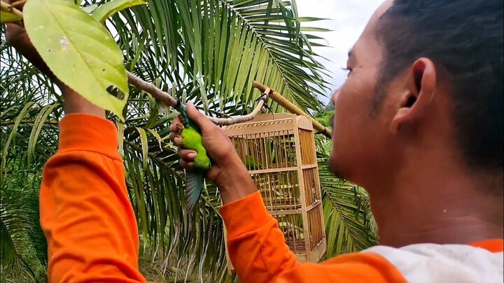 Alhamdulillah bisa Berpetualang lagi || mikat burung di area pantai