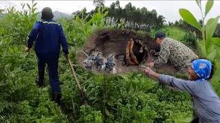 Bà Lão Kể Gặp Cặp Rắn Quấn Nhau Khi Đi Tìm Đàn Chó Bị Lạc Mẹ Trong Rừng | Đại 87 Săn Bắt Vùng Cao