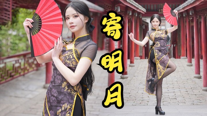 【希子】跳个寄明月来拜年啦❀金丝雀旗袍ver