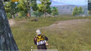 Dăm ba con muỗi #pubgmobile