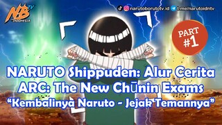 Alur Cerita Naruto Shippuden Eps. 614 - 623 "Kembalinya Naruto, Jejak Temannya"