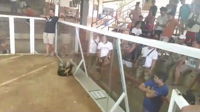 mariveles cockpit arena Meron win talisay