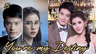 15-You're my Destiny / Tagalog dubbed✔️