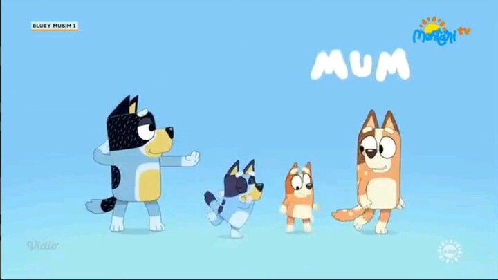 Bluey musim 1 Domba Shaun