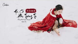 [Vietsub + Pinyin] Hà Cớ Phụ Tương Tư - Phong Minh Quýnh Khuẩn, Nomi, Rui / 何负相思