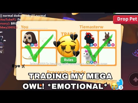 Owl, Trade Roblox Adopt Me Items