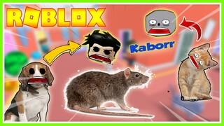 BARU TAU!!! TERNYATA BANG CUPU TAKUT SAMA TIKUS WKWKW!!! ROBLOX MIKOCIL