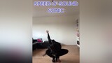 Speed-o’-sound sonic! 🥜🤛🏼 anime onepunchman fyp saitama manga