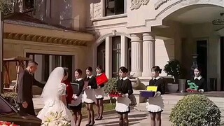 Marry A Vegetative CEO