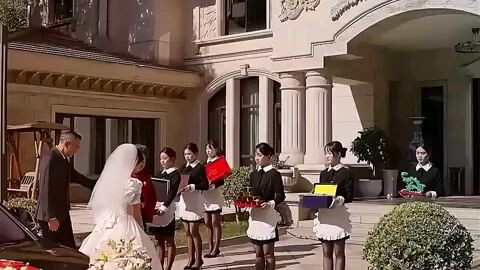 Marry A Vegetative CEO
