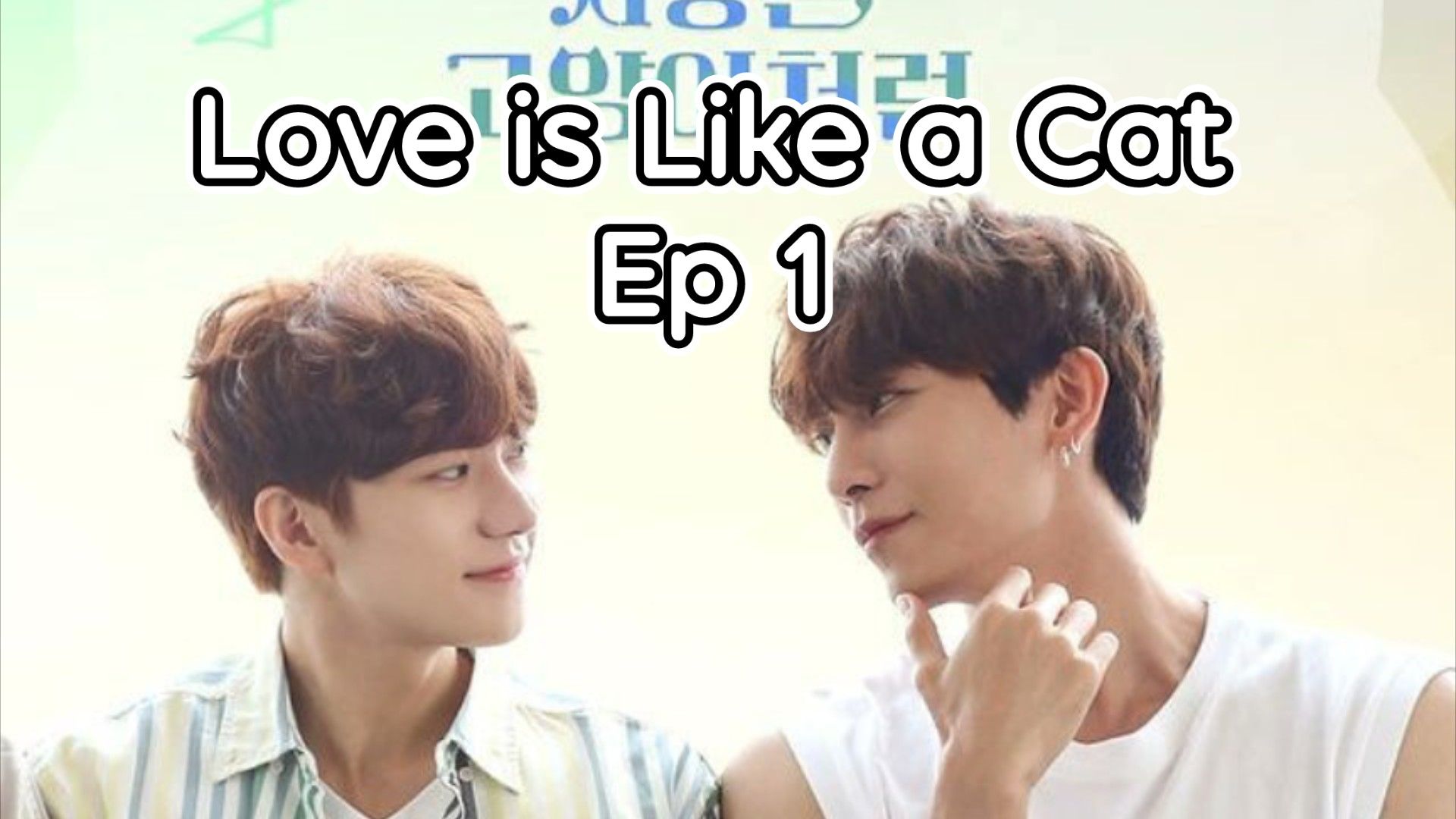 Eng] Love.Is.Like.A.Cat Ep 1 - BiliBili