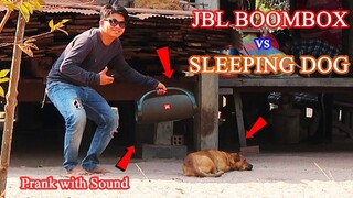 Real Prank! JBL BoomBox Speaker vs Sleeping Dog Prank with Angry Dog Sound Very Funny New Prank 2021