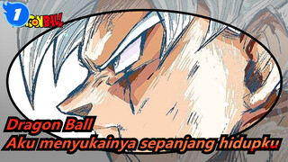 [Dragon Ball]Aku menyukainya sepanjang hidupku_1