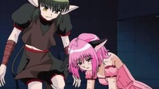 Tokyo Mew Mew Sub Indo E11