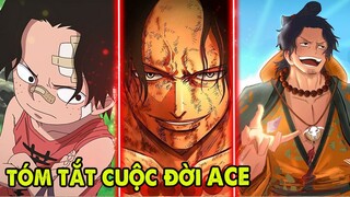 Tóm Tắt One Piece Bựa: Cuộc Đời Hỏa Quyền Portgas D. Ace