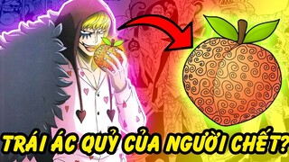 Trái Ác Quỷ Của Người Chết | Những Trái Ác Quỷ Lưu Lạc trong One Piece