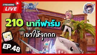 🔴LIVE !! Ragnarok Origin Global : Ep.48 210นาทีฟาร์มเอาให้จุก