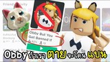 Roblox : แมฟนี้ถ้าเข้ามาเล่นเเล้ว....เราจะถูก..แบน..!!! จริงหราาา!!!