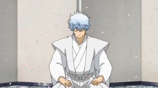 Gintama Semua Karakter Minta Maaf