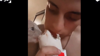 meme Ủa rồi bánh của tao hay của mày hả? Mồn lèo