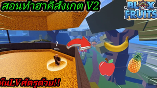 Blox Fruits UPDATE 15 สอนทำฮาคิสังเกต V2