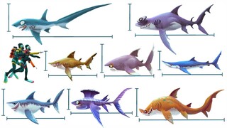 THE BIGGEST SHARK IN HUNGRY SHARK WORLD. All Sharks Size Comparison & The Longest Shark [Season 1]