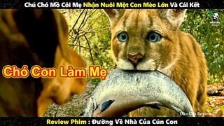 Chú Chó Mồ Côi Mẹ Nhận Nuôi Một Con Mèo Lớn Và Cái Kết || Review phim