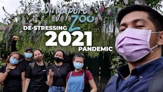 Exploring SINGAPORE ZOO during Pandemic 2021 | Buhay OFW | DANVLOGS