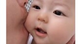 [Koleksi Bayi Manusia] Seperti yang kita semua tahu, bayi adalah permen bergetah kecil yang memantul