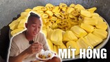 Món ăn kì lạ của người Tam Kỳ Quảng Nam - Mít Hông