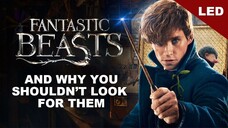 WATCH MOVEI:  Fantastic beasts and where to find Them 2016 trailer link in the description: